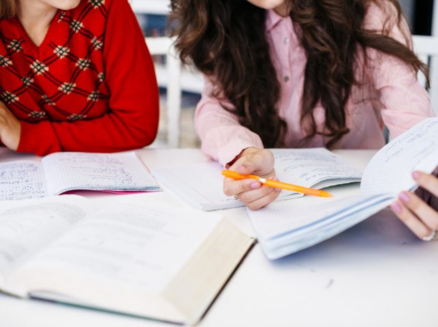 saekalfa - εξετάσεις πιστοποίησης αποφοίτων ΙΕΚ - διάβασμα